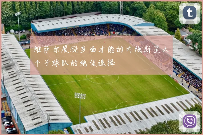 维萨尔展现多面才能的内线新星大个子球队的绝佳选择